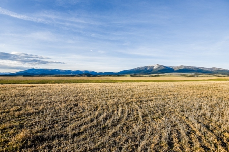 Montana Land & Lots with Hunting Rights Real Estate Auction - image 25