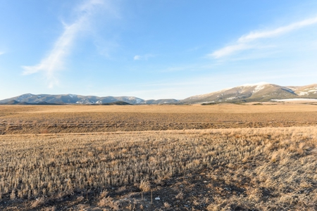 Montana Land & Lots with Hunting Rights Real Estate Auction - image 3
