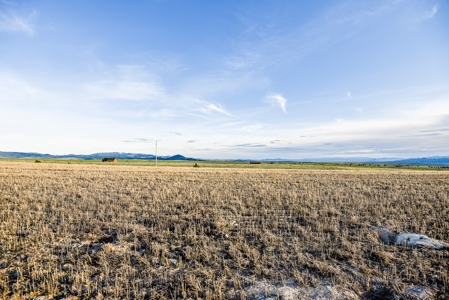 Montana Land & Lots with Hunting Rights Real Estate Auction - image 13