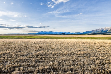 Montana Land & Lots with Hunting Rights Real Estate Auction - image 11