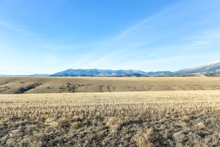 Montana Land & Lots with Hunting Rights Real Estate Auction - image 8