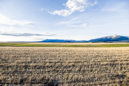 Montana Land & Lots with Hunting Rights Real Estate Auction - image 10