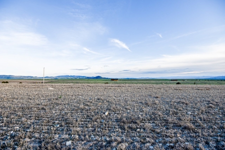 Montana Land & Lots with Hunting Rights Real Estate Auction - image 12