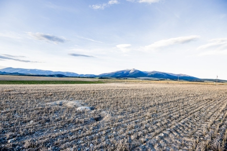 Montana Land & Lots with Hunting Rights Real Estate Auction - image 4