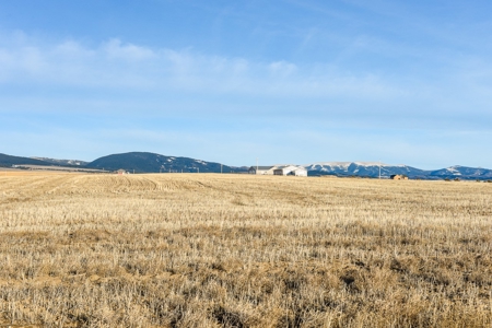 Montana Land & Lots with Hunting Rights Real Estate Auction - image 21