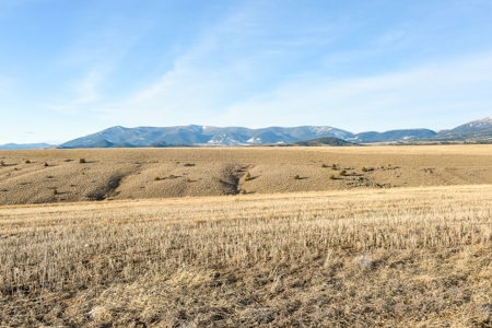Montana Land & Lots with Hunting Rights Real Estate Auction - image 5