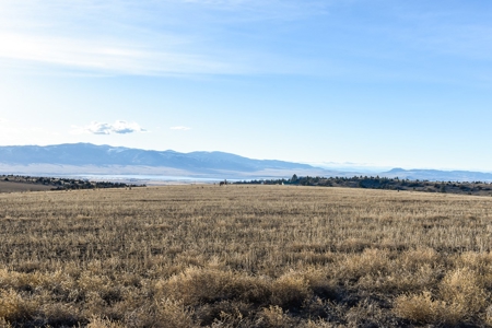 Montana Land & Lots with Hunting Rights Real Estate Auction - image 26