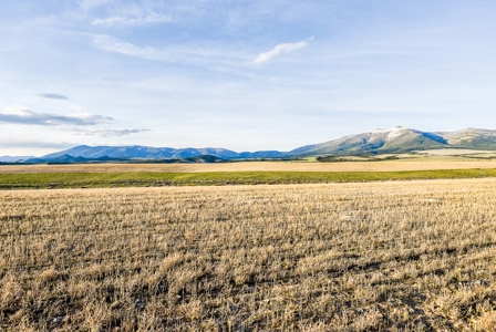 Montana Land & Lots with Hunting Rights Real Estate Auction - image 2