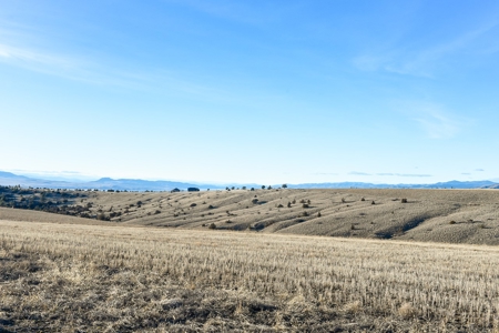 Montana Land & Lots with Hunting Rights Real Estate Auction - image 7