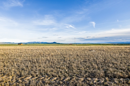 Montana Land & Lots with Hunting Rights Real Estate Auction - image 22