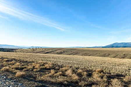 Montana Land & Lots with Hunting Rights Real Estate Auction - image 9
