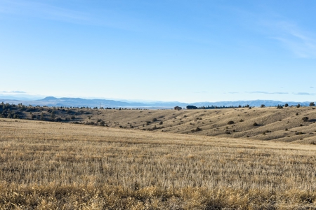Montana Land & Lots with Hunting Rights Real Estate Auction - image 6