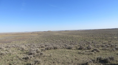 Petroleum County Land Auction - image 9