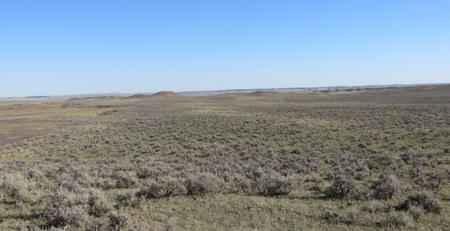 Petroleum County Land Auction - image 1