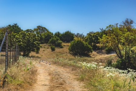 Live Water Hunting Ranch For Sale in Bandera County Texas - image 1