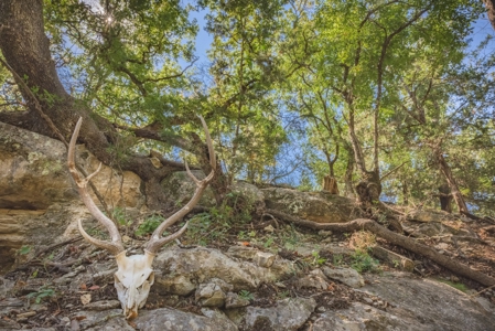 Live Water Hunting Ranch For Sale in Bandera County Texas - image 30