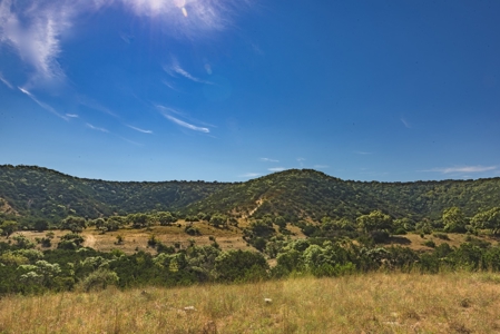 Live Water Hunting Ranch For Sale in Bandera County Texas - image 11
