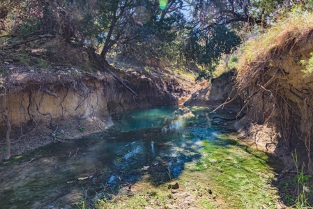 Live Water Hunting Ranch For Sale in Bandera County Texas - image 22