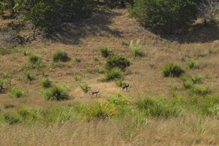Live Water Hunting Ranch For Sale in Bandera County Texas - image 8