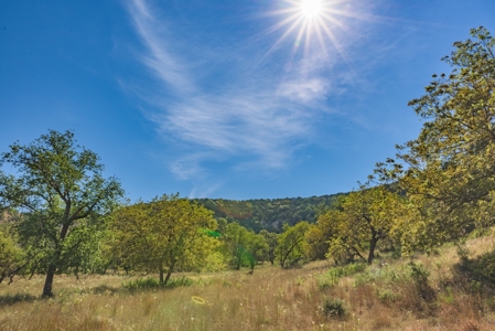 Live Water Hunting Ranch For Sale in Bandera County Texas - image 19