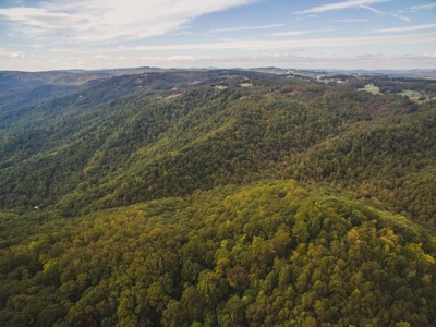 78 Acres of Wooded Recreational Land for Sale in Fancy Gap! - image 12