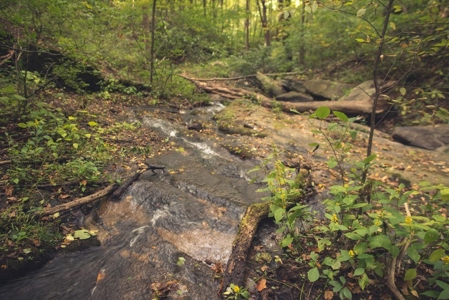 78 Acres of Wooded Recreational Land for Sale in Fancy Gap! - image 6