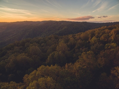 78 Acres of Wooded Recreational Land for Sale in Fancy Gap! - image 15