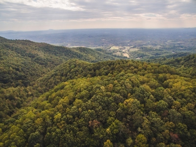 75 Acres of Hunting & Recreational Land for Auction in VA! - image 23
