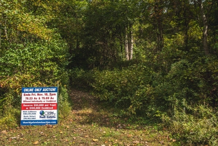 75 Acres of Hunting & Recreational Land for Auction in VA! - image 2