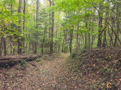 75 Acres of Hunting & Recreational Land for Auction in VA! - image 28