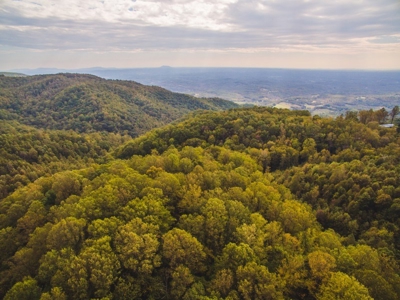 Large Acreage Tract of Wooded Land for Sale at Auction! - image 48