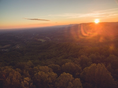 Large Acreage Tract of Wooded Land for Sale at Auction! - image 13