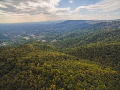 Large Acreage Tract of Wooded Land for Sale at Auction! - image 1