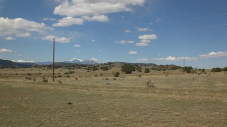 Country property for sale north of Trinidad, Colorado - image 2