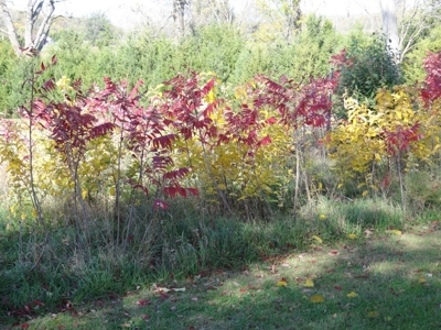 Multi-par Public Auction - image 19