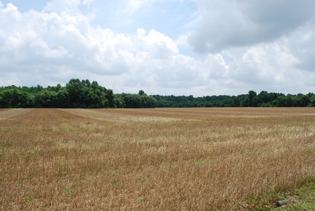 Waterfront land for Sale in Suffolk, VA - image 19