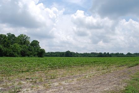 Waterfront land for Sale in Suffolk, VA - image 18
