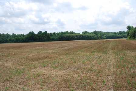 Waterfront land for Sale in Suffolk, VA - image 13