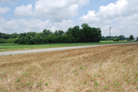 Waterfront land for Sale in Suffolk, VA - image 14