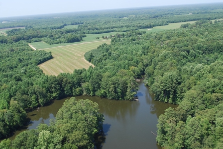 Waterfront land for Sale in Suffolk, VA - image 6