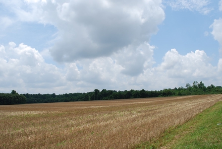 Waterfront land for Sale in Suffolk, VA - image 21