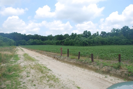 Waterfront land for Sale in Suffolk, VA - image 8