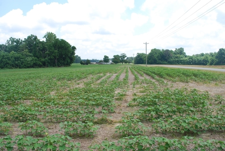 Waterfront land for Sale in Suffolk, VA - image 12