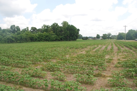 Waterfront land for Sale in Suffolk, VA - image 11