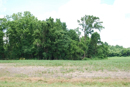 Waterfront land for Sale in Suffolk, VA - image 24