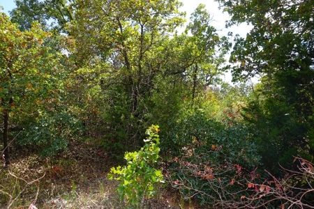 Logan Co. Country Acreage ON LINE ONLY Auction - image 1