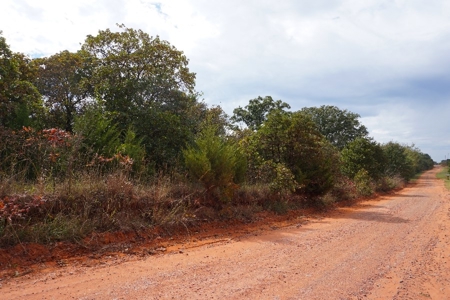 Logan Co. Country Acreage ON LINE ONLY Auction - image 4
