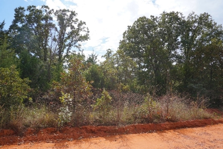Logan Co. Country Acreage ON LINE ONLY Auction - image 2