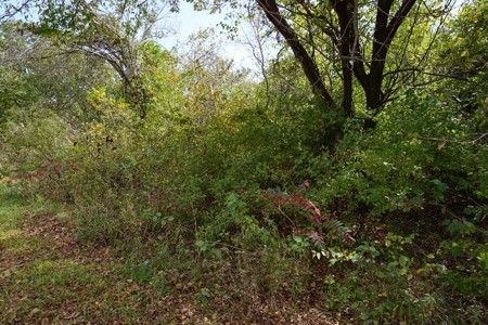 Logan Co. Country Acreage ON LINE ONLY Auction - image 5