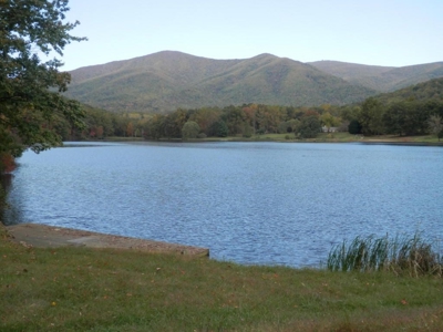 Luxury Country Estate - image 2